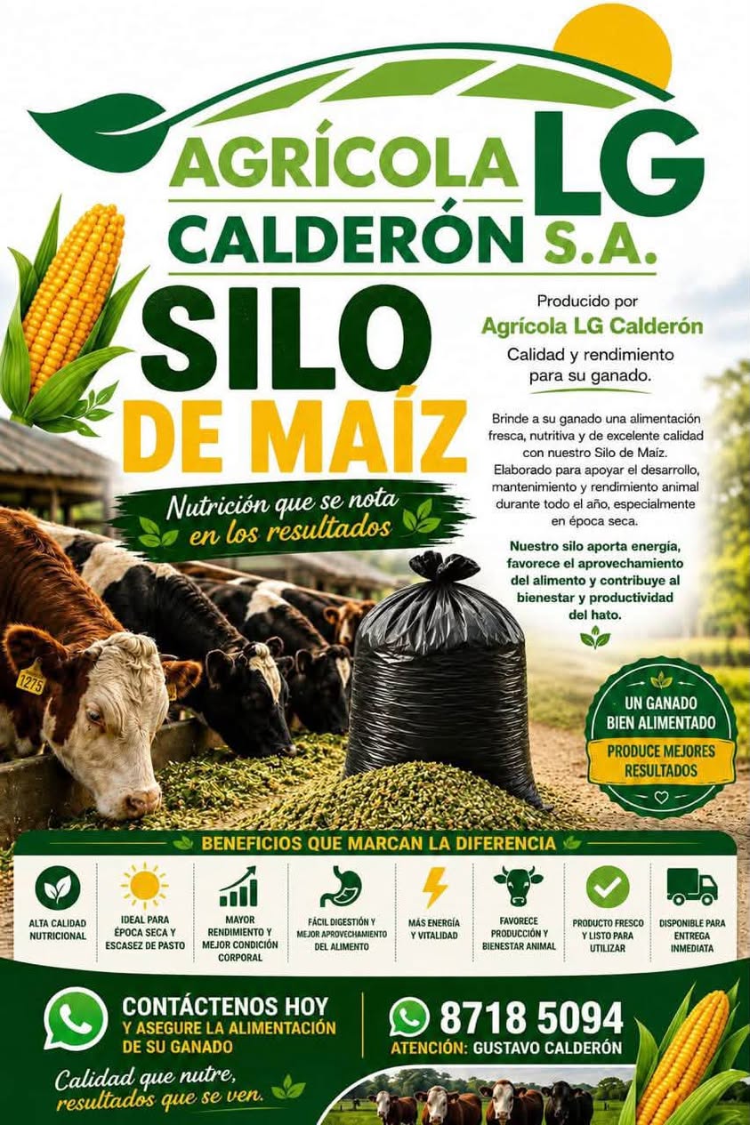 Silo de Maiz 5